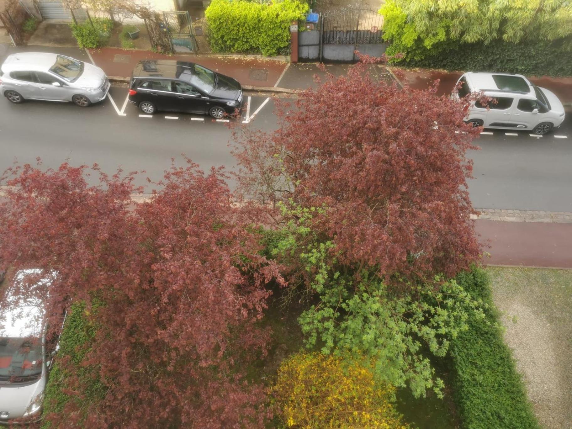 פונטנה-או-רוז Appartement 3 Pieces A Seulement 5Km De Paris - For 2 To 7 Guests ! מראה חיצוני תמונה